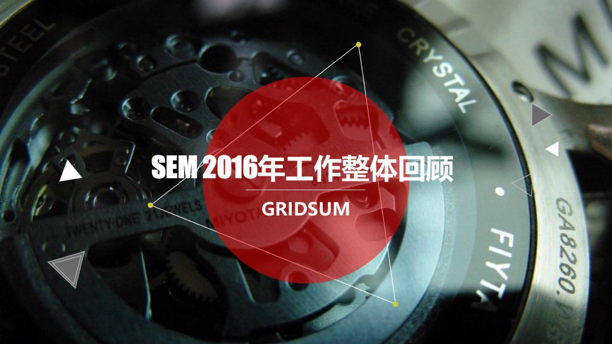 飞亚达搜索营销整合提案V3.1_第5页