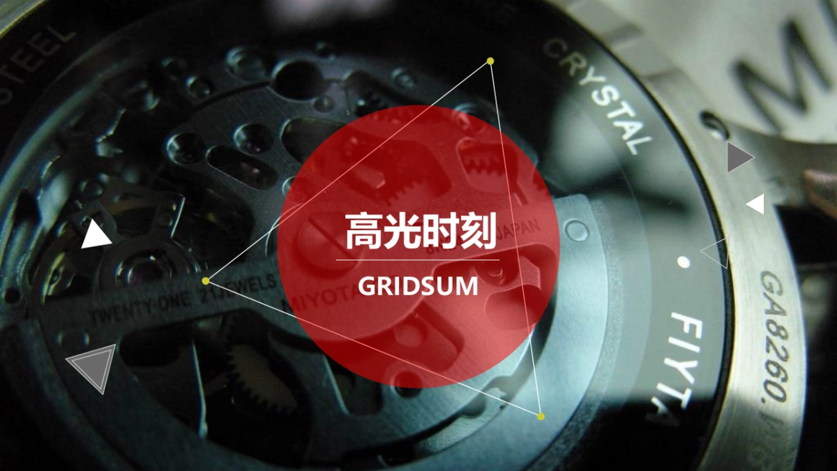 飞亚达搜索营销整合提案V3.1_第8页