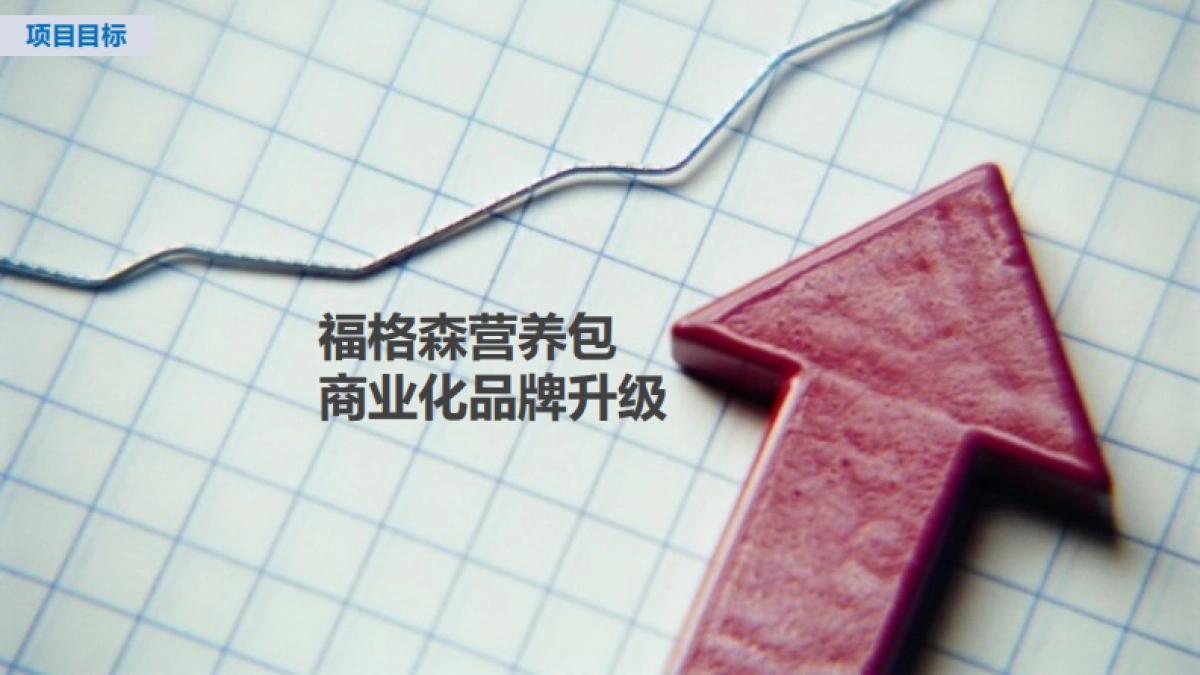 福格森策略_第2页