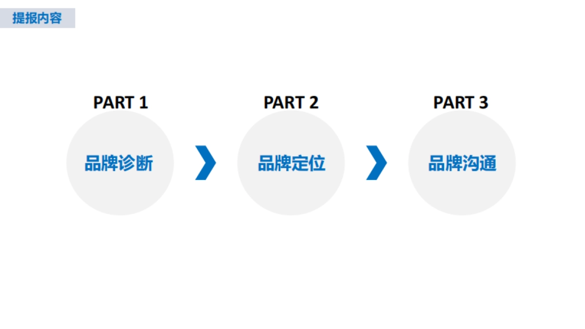 福格森策略_第6页