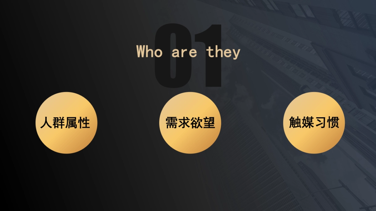 合盘理财x爱奇艺2018整合营销方案12.29_第4页