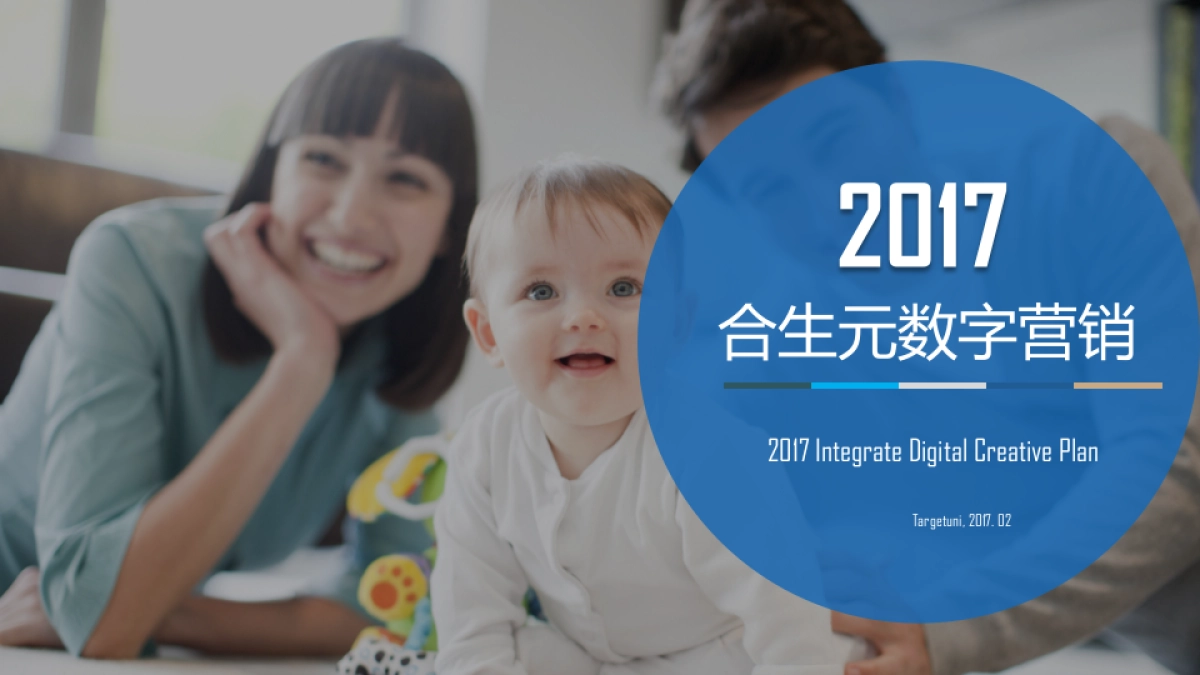 合生元2017数字营销- 0215FA_第1页