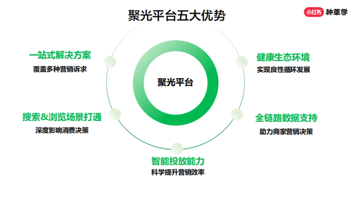 红书聚光平台营销玩法_第7页