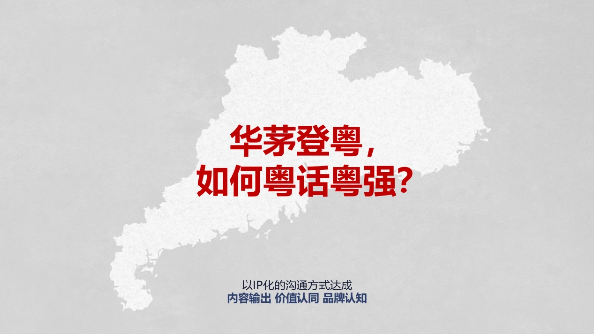 华茅2019 市场营销建议20190104V2_第5页