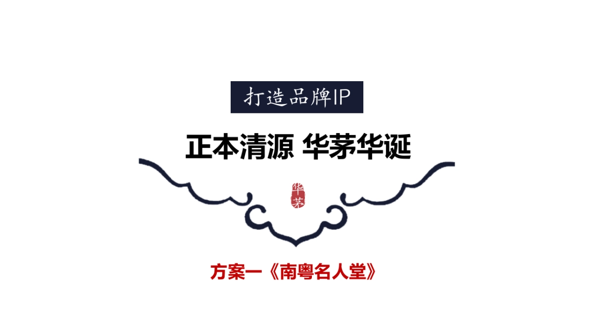 华茅2019 市场营销建议20190104V2_第9页