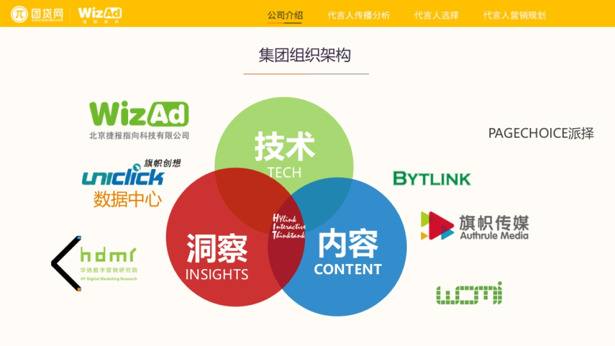 华扬联众-2017团贷网代言人营销方案_第6页