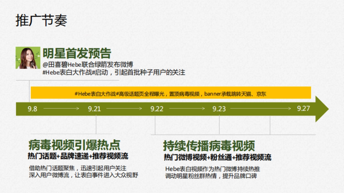 箭【Hebe表白大作战】造势营销案例_第5页