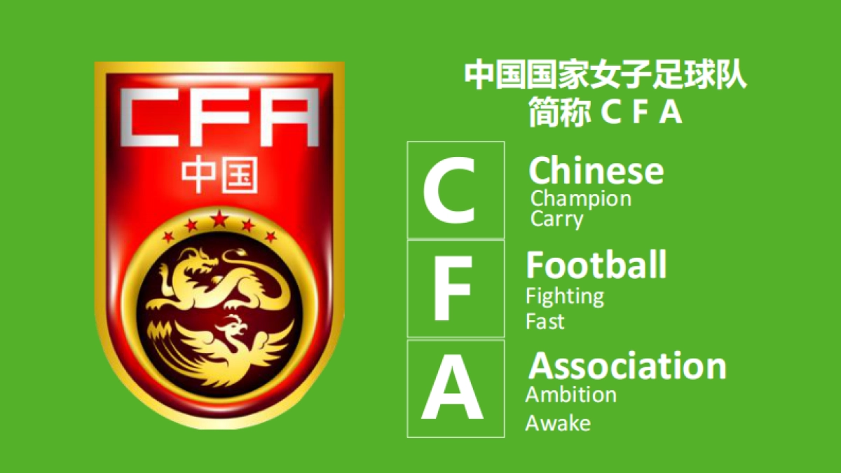 今维多女足世界杯社会化营销创意案_第8页