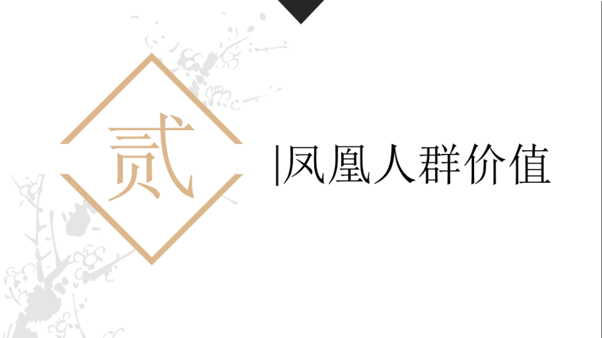 九仙尊凤凰网2017整合营销策划案_第6页