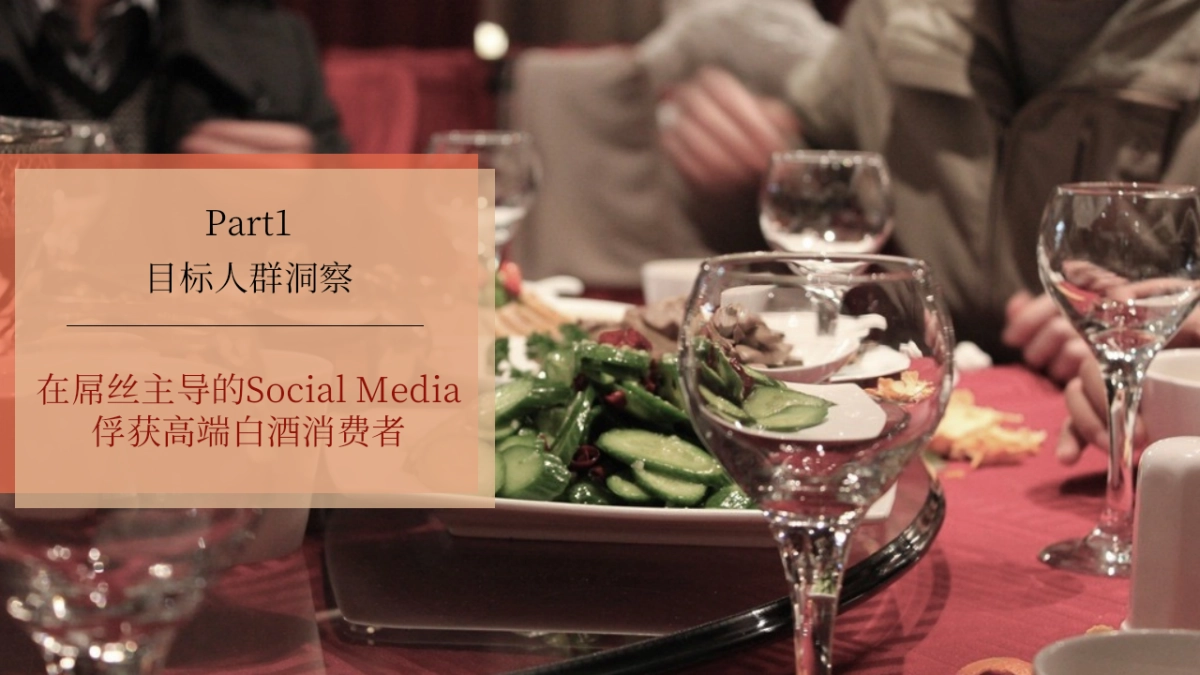 酒媒体运营策略Social Media  Operation and Maintenance Plan_第4页