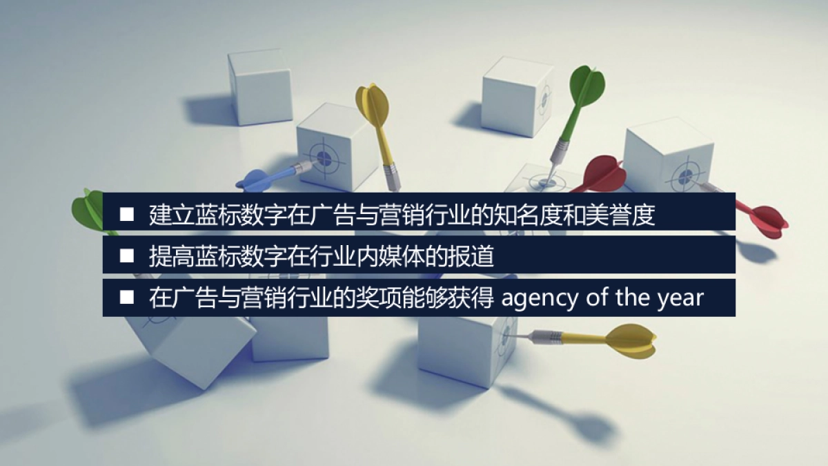 蓝色光标数字营销机构品牌形象建设方案_第6页