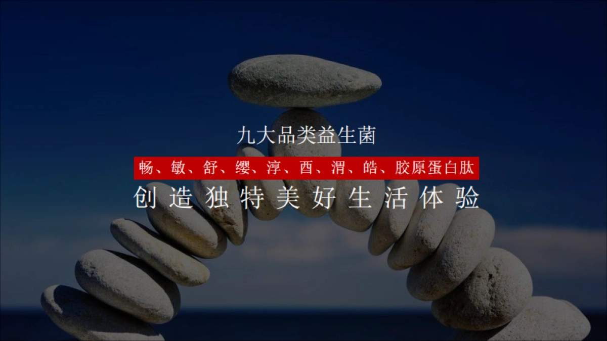 乐力数字营销策略_第5页