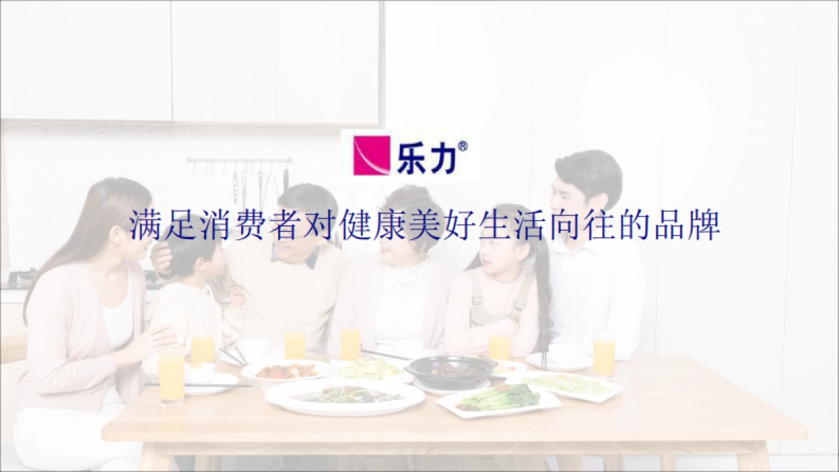 力数字营销策略_第6页