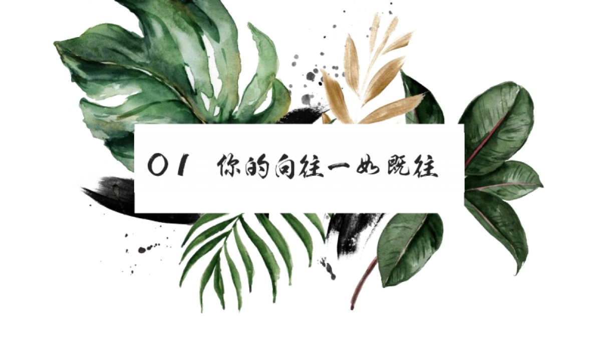 《向往的生活》第四季招商方案(1)_第4页