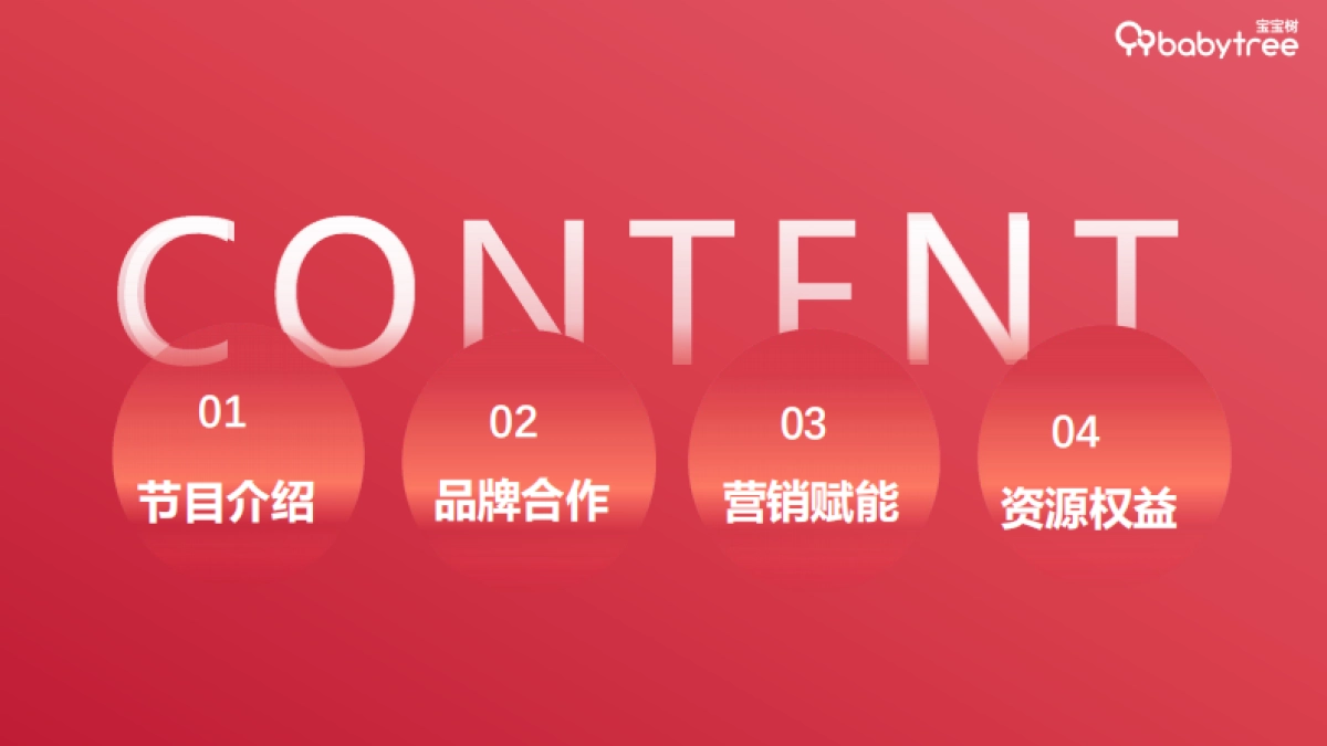 《这是谁的家》招商方案_第2页