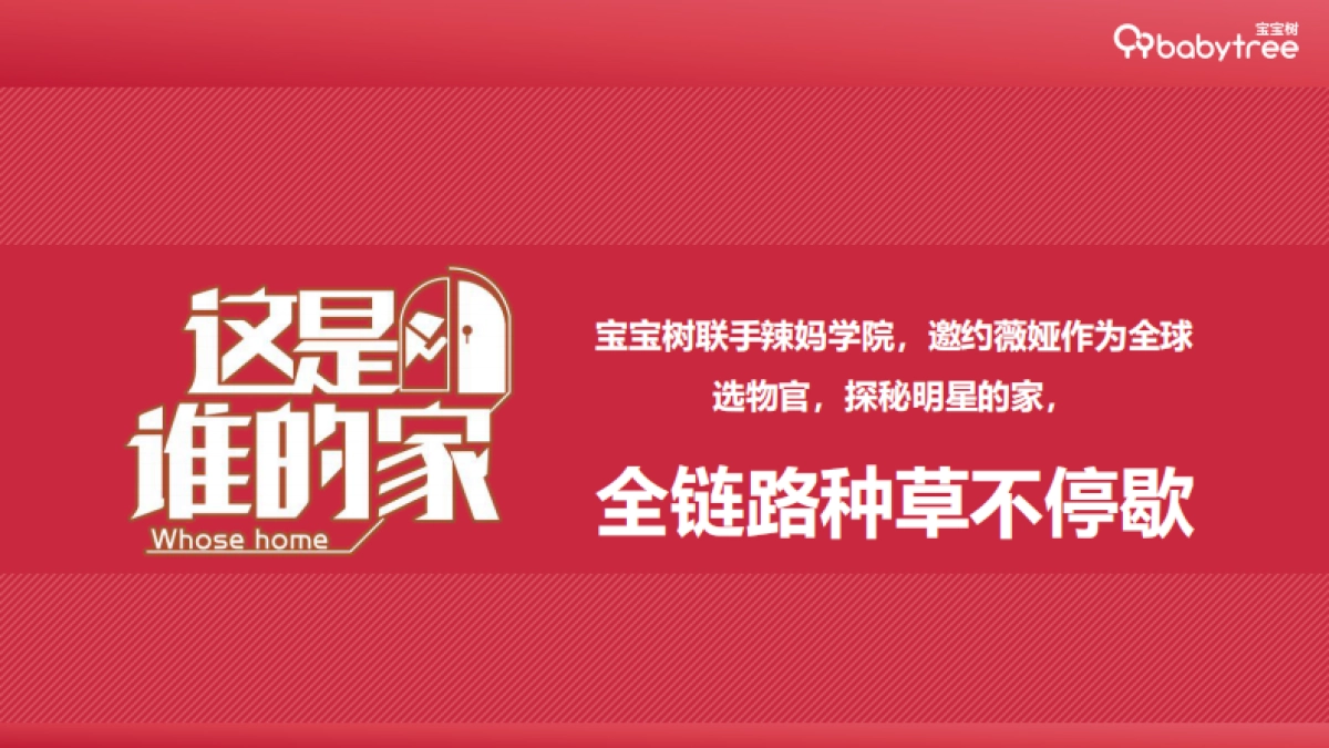 《这是谁的家》招商方案_第6页