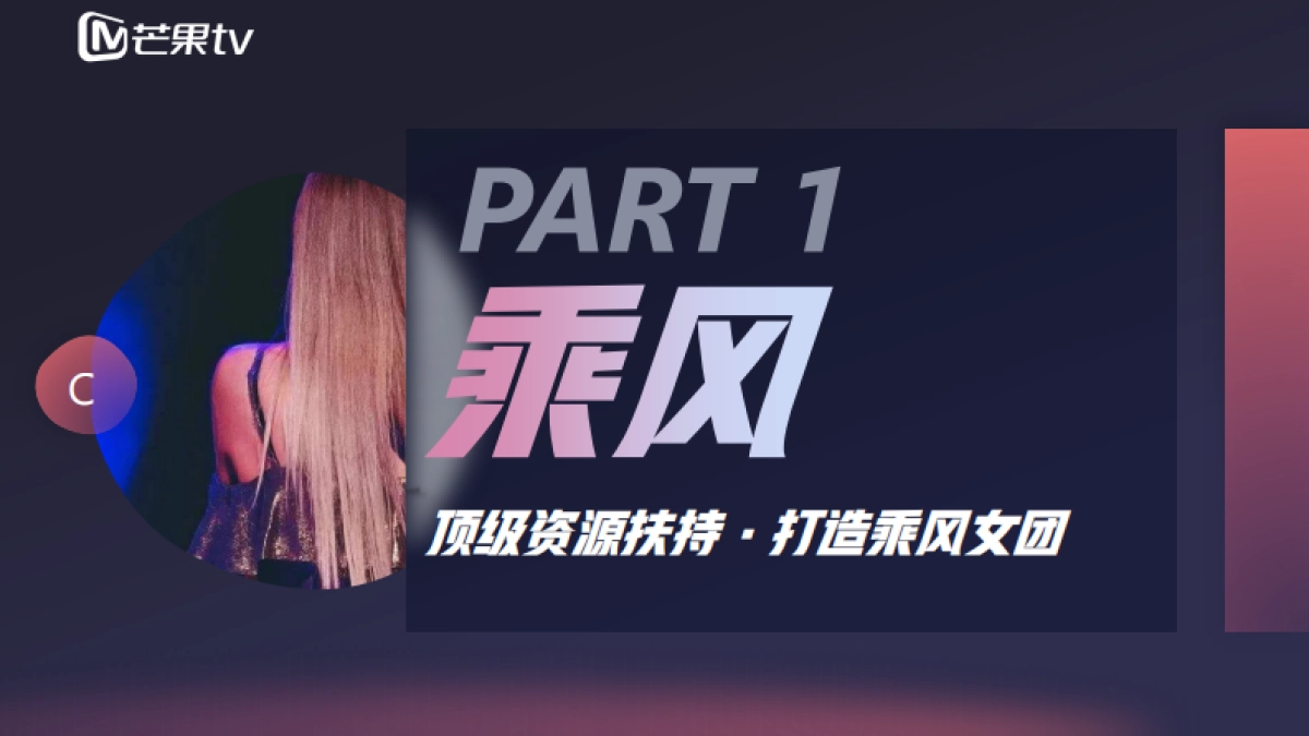 2020芒果tv《乘风破浪的姐姐》招商方案_第8页