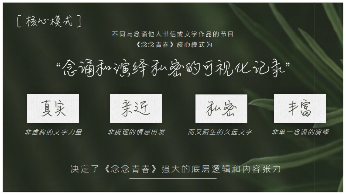 2021《念念青春》招商方案_第9页