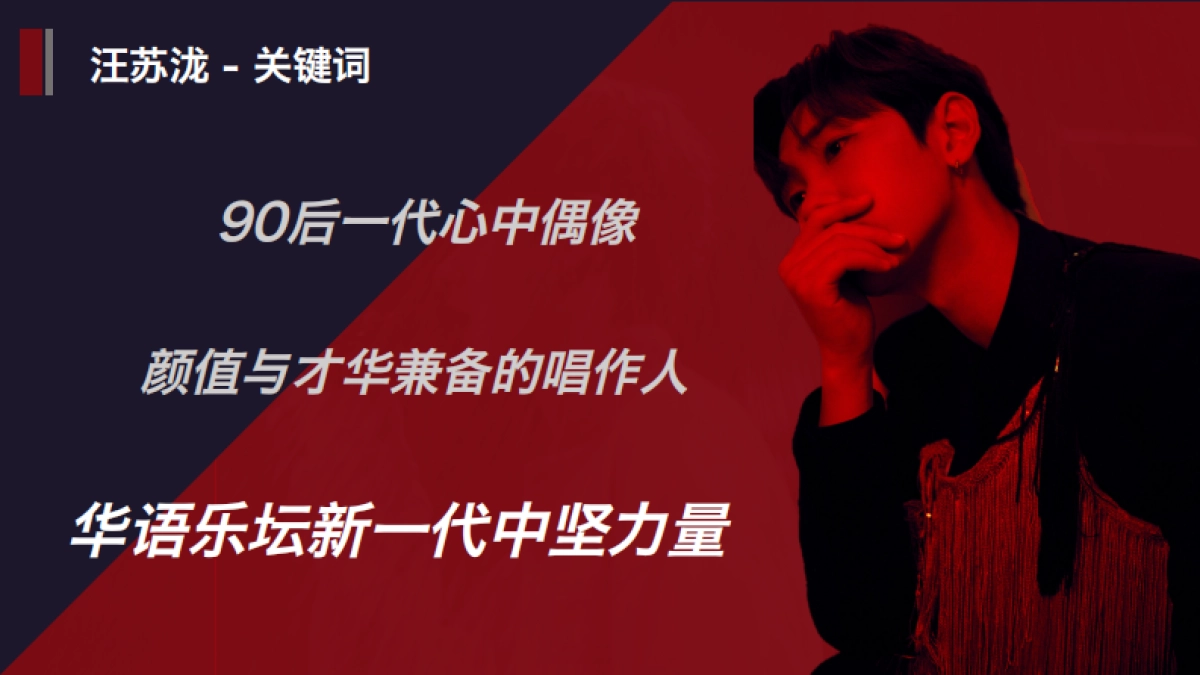 2021-2022汪苏泷巡回演唱会招商方案_第5页