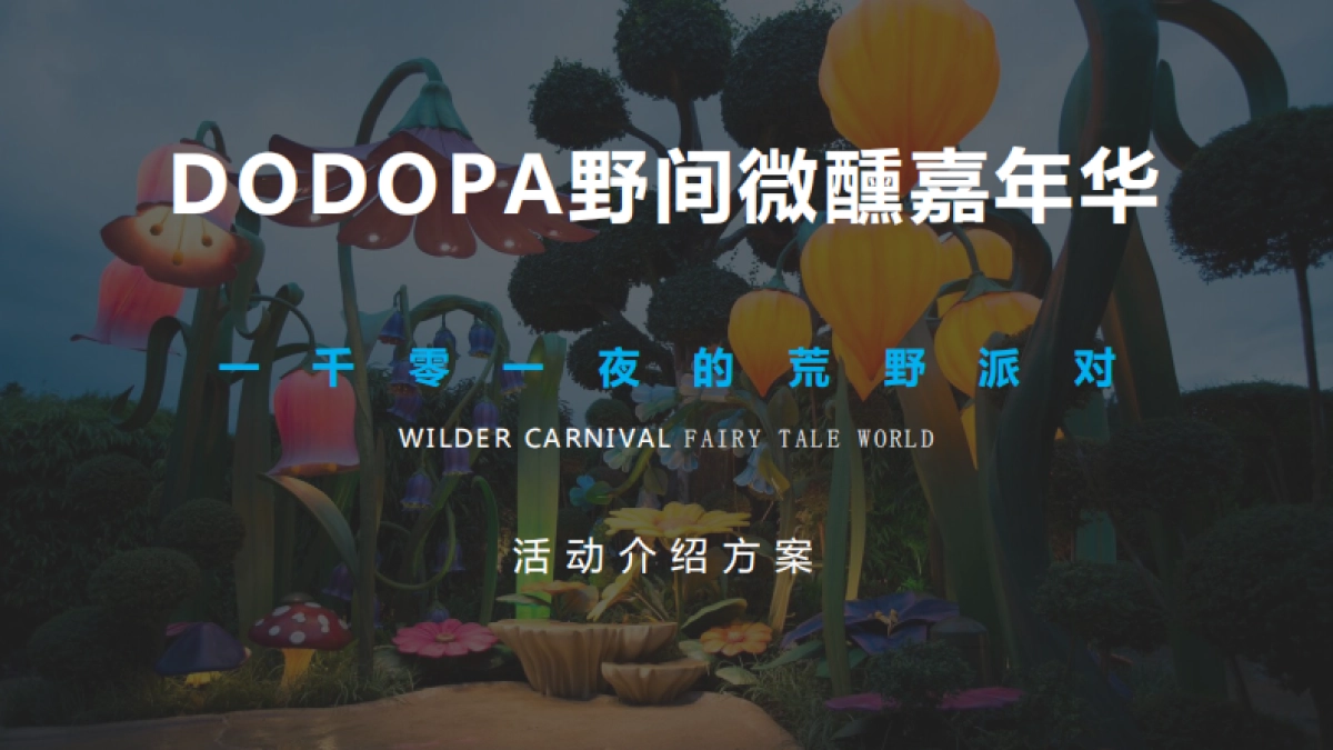 2022DODOPA野间微醺嘉年华一千零一夜的荒野派对活动招商方案_第2页