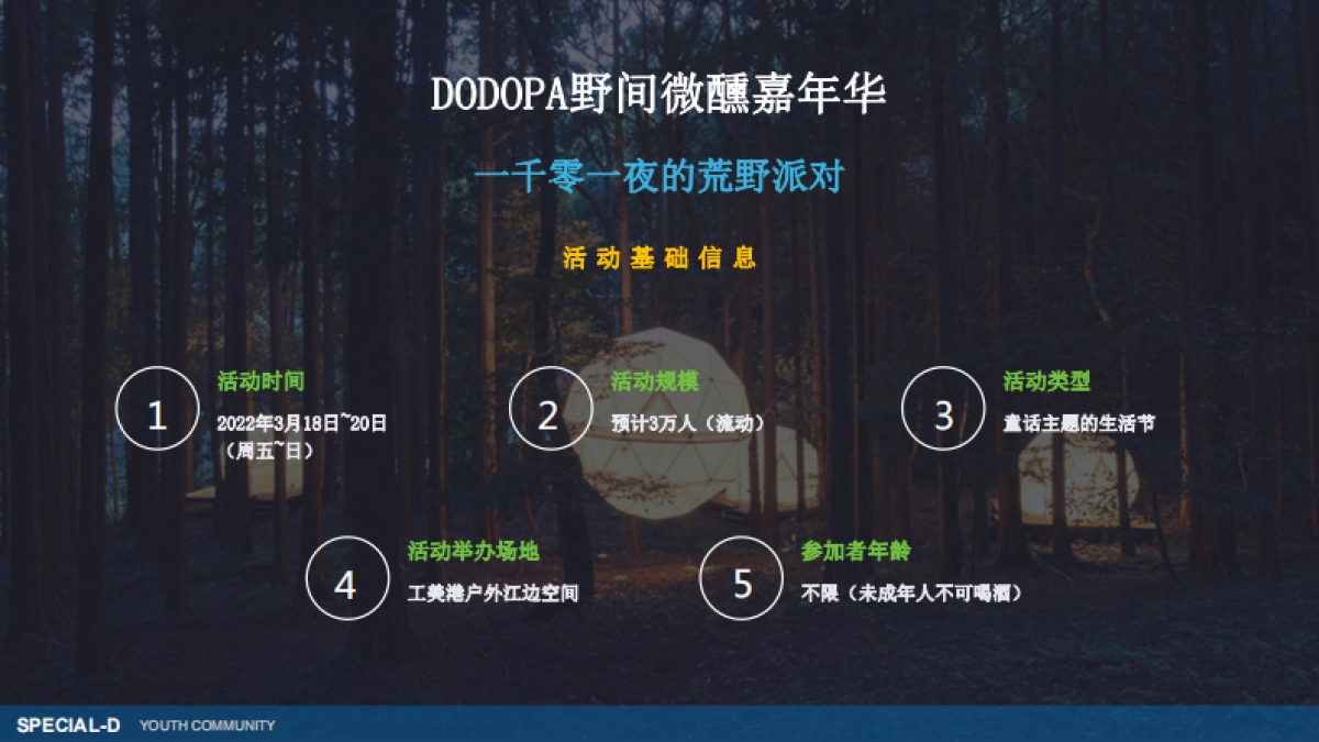 2022DODOPA野间微醺嘉年华一千零一夜的荒野派对活动招商方案_第4页