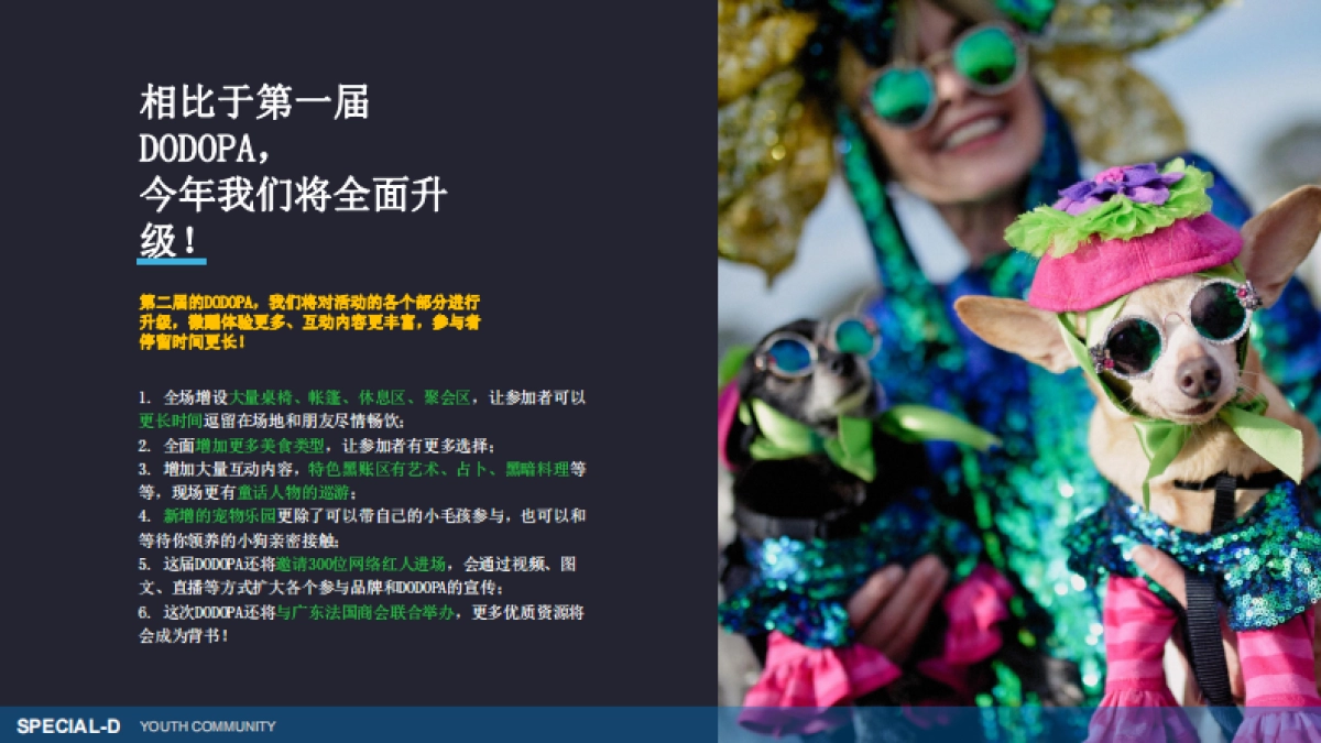 2022DODOPA野间微醺嘉年华一千零一夜的荒野派对活动招商方案_第8页
