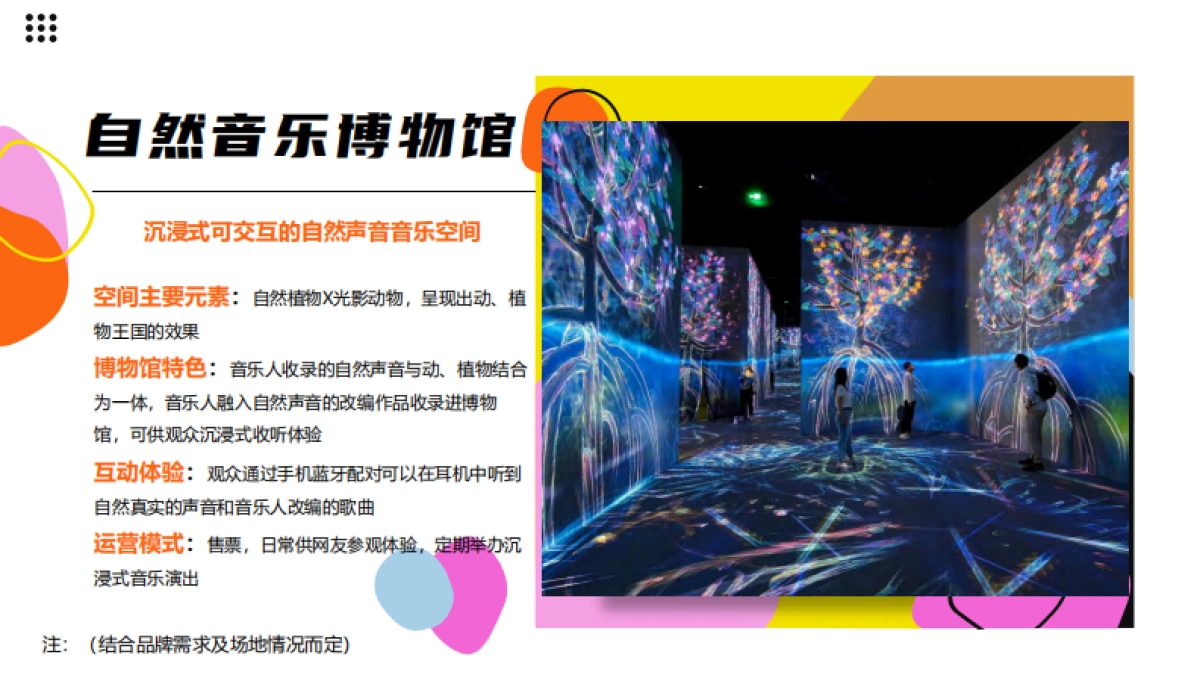 IAMI Stage项目招商方案_第10页