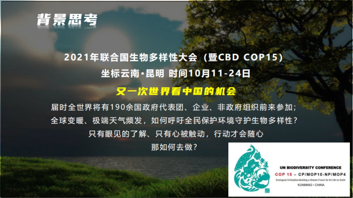 IAMI Stage项目招商方案_第3页