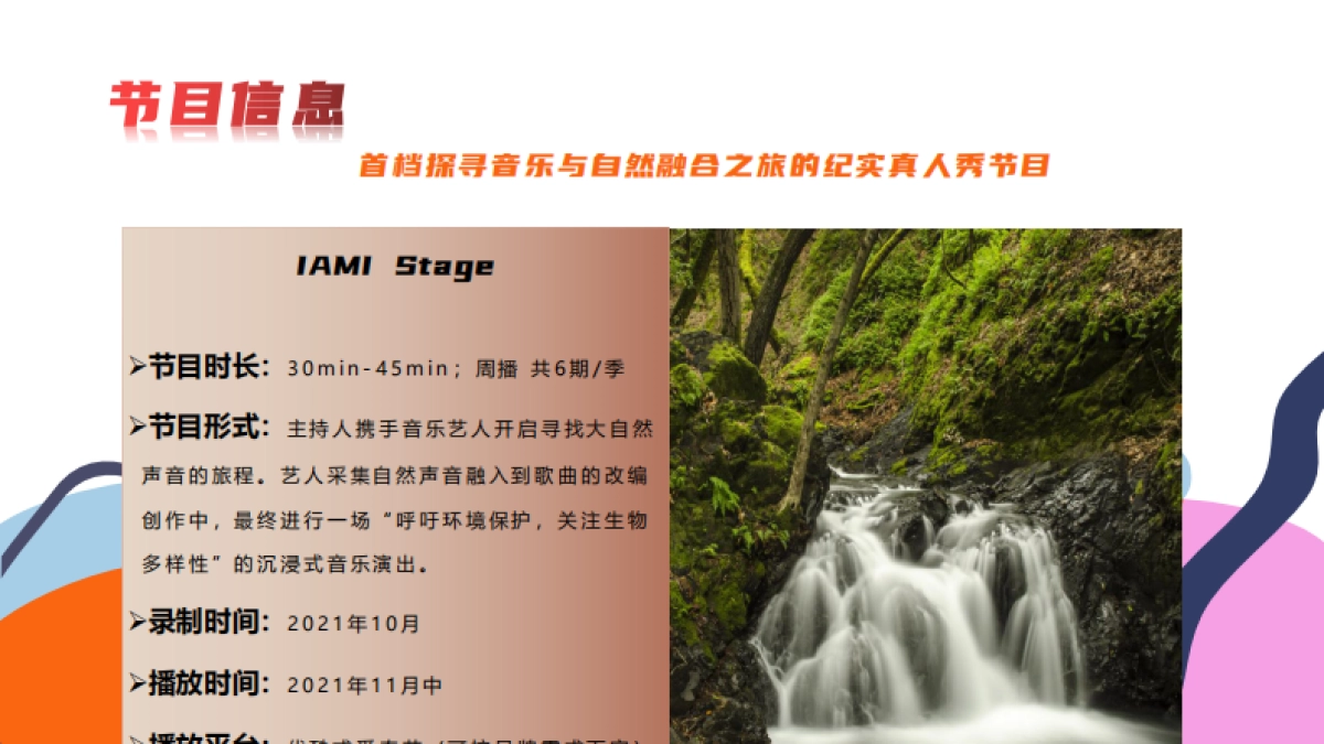 IAMI Stage项目招商方案_第5页