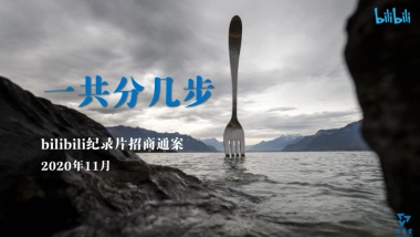 哔哩哔哩纪录片《一共分几步》项目招商方案