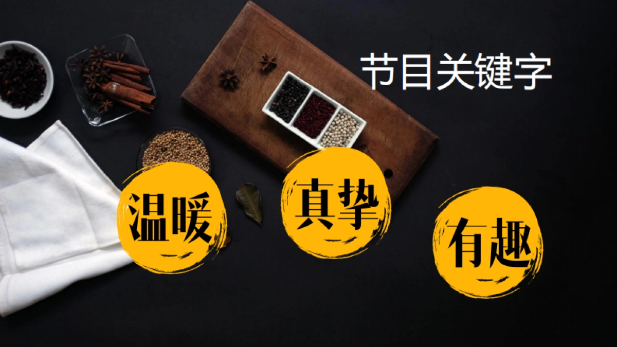 官方版《中餐厅》招商方案_第5页