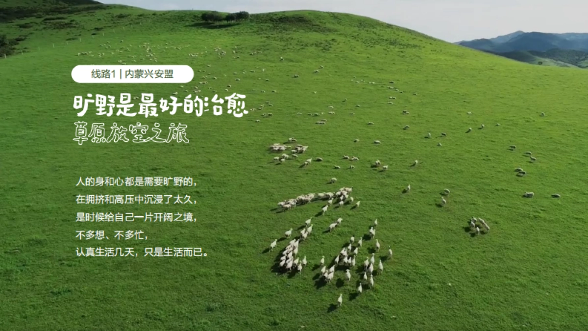 红薯旅行社】招商方案_第9页