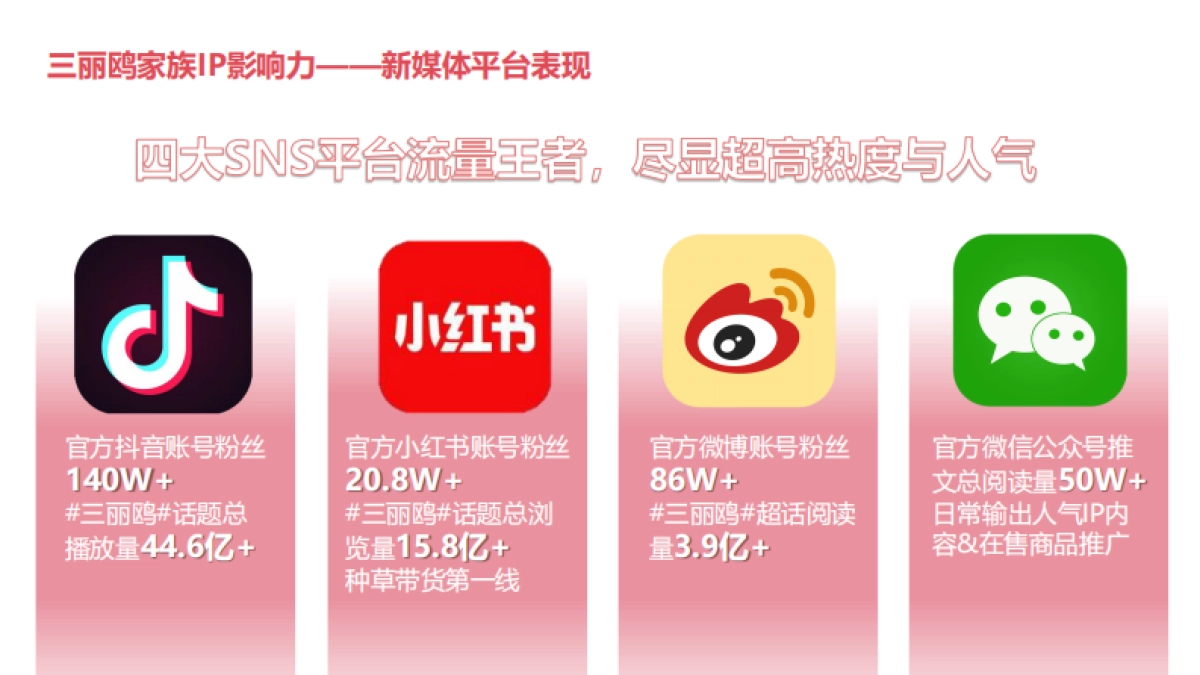 丽鸥家族招商方案_第9页