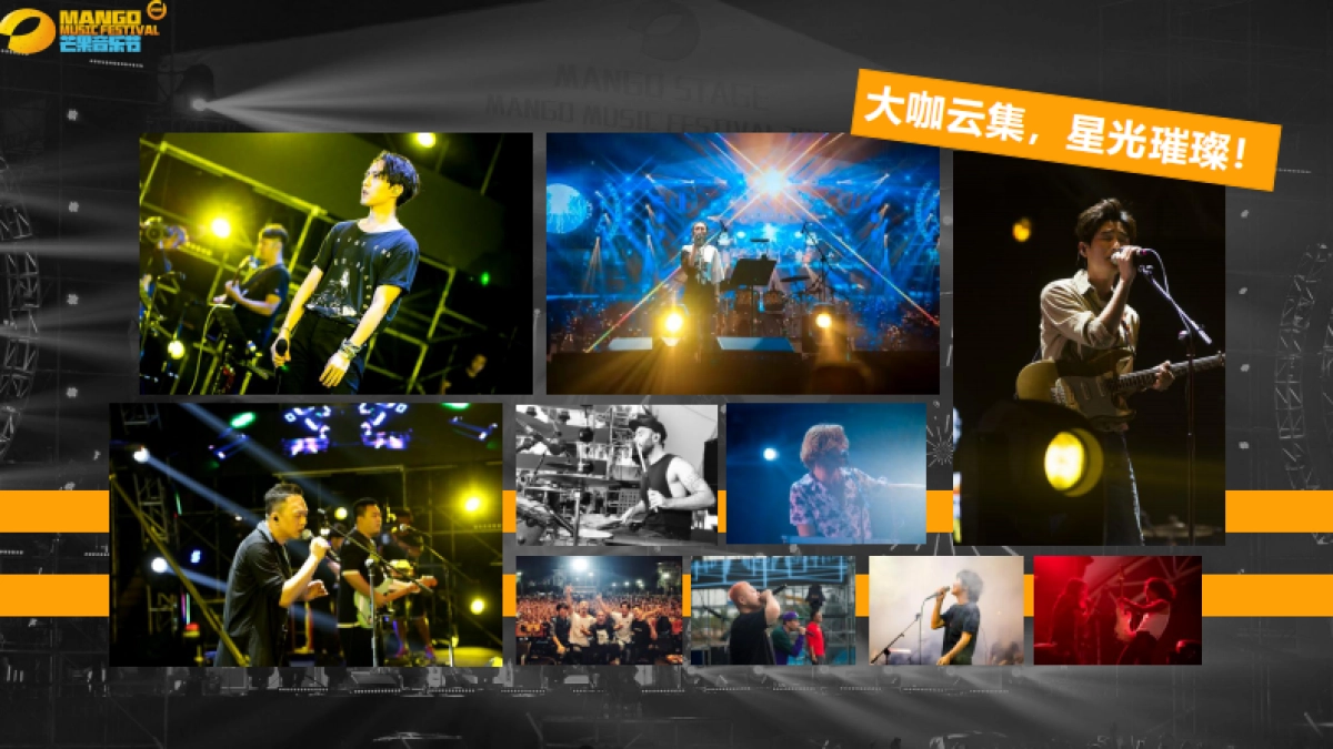 芒果音乐节招商方案_第5页