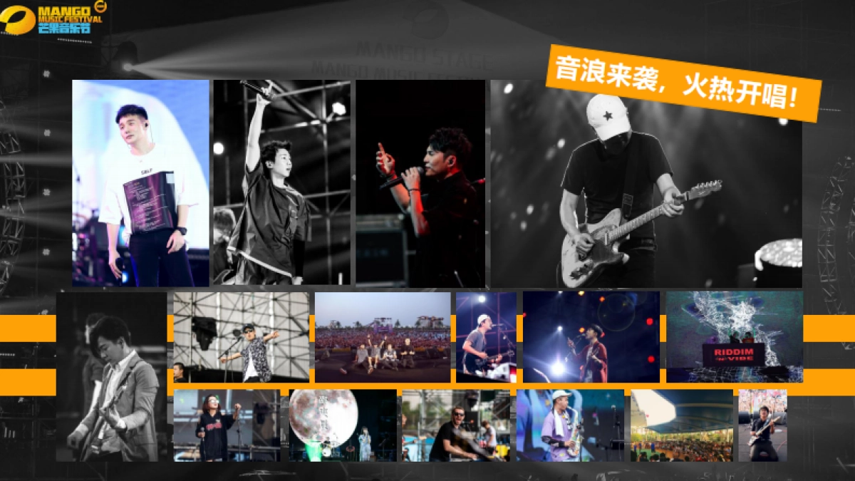 芒果音乐节招商方案_第6页