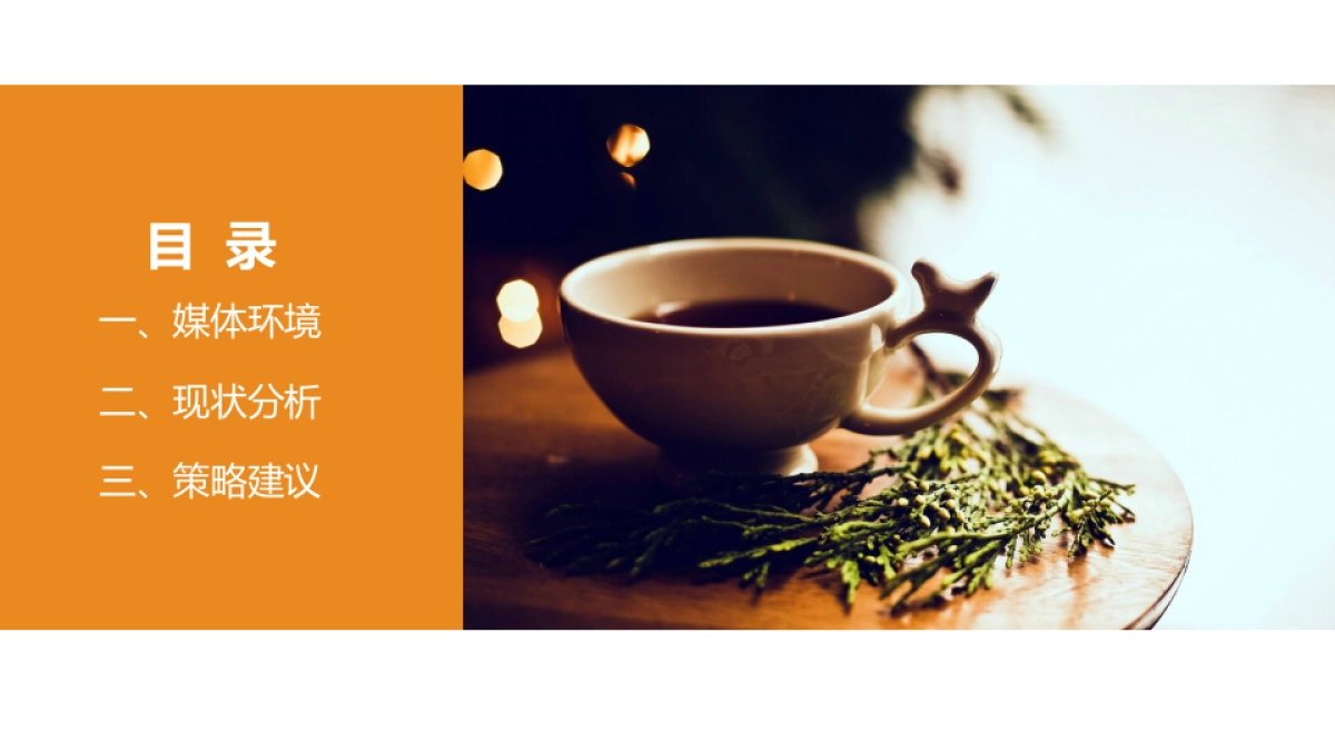 2018王老吉媒介趋势建议分享案（抖音快手）_第2页