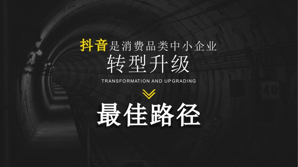 2019年抖音专业化运营方案_第10页