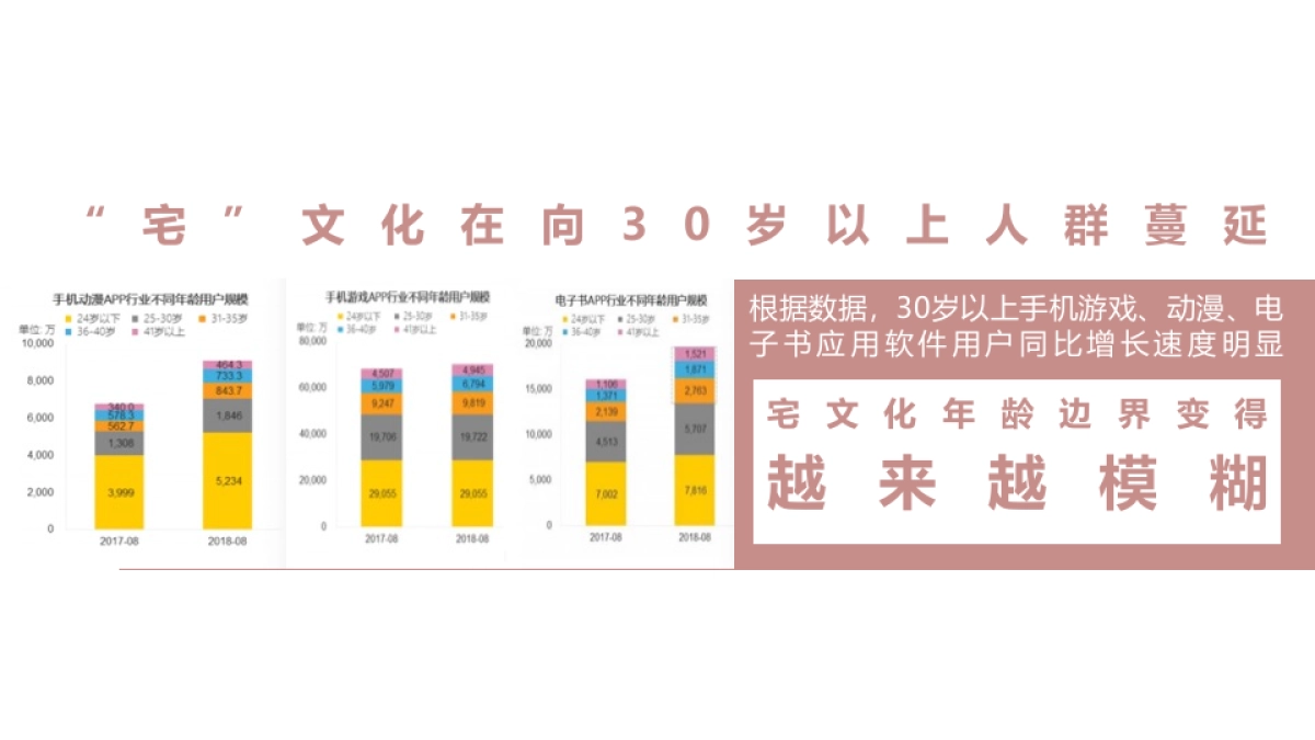 2020东来顺全年营销方案（直播+抖音＋双微＋社交传播）_第5页