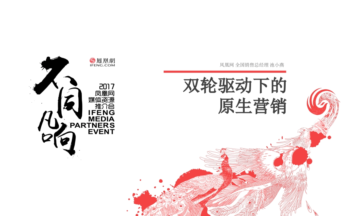 凤凰直播推介方案（公司简介模版参考）final_第3页