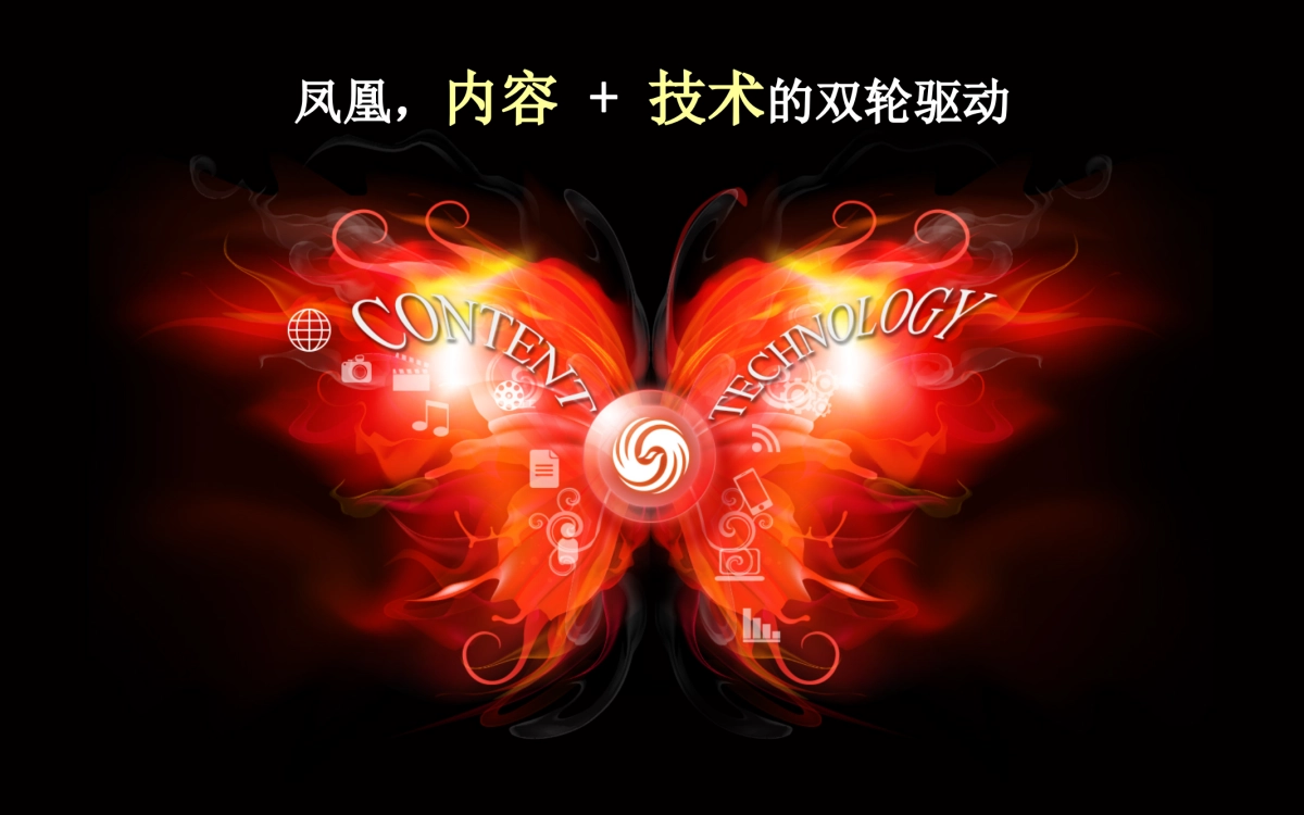 凤凰直播推介方案（公司简介模版参考）final_第6页