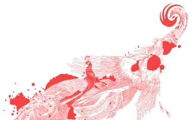 凤凰直播推介方案（公司简介模版参考）final