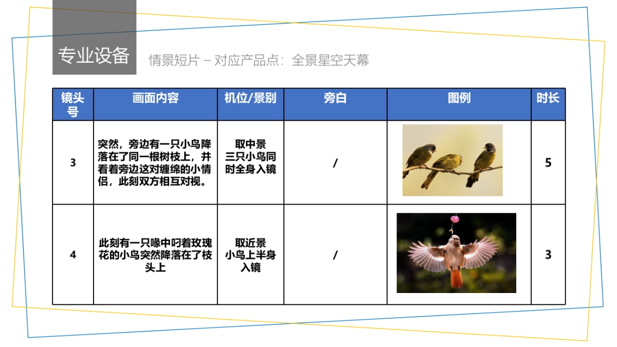 吉利汽车帝豪车型病毒短视频创意脚本_第7页