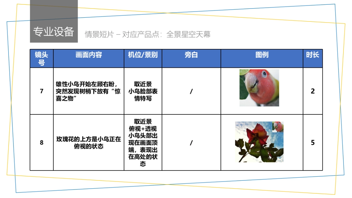 吉利汽车帝豪车型病毒短视频创意脚本_第9页