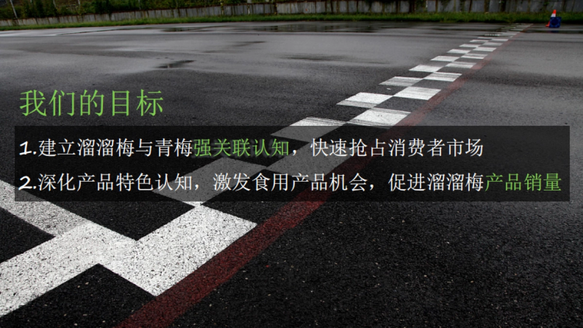 溜溜梅抖音抗酸挑战传播方案_第6页