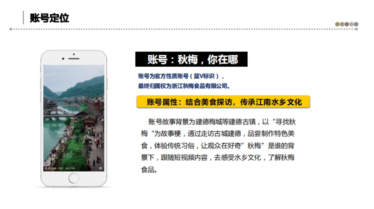 秋梅食品抖音运营方案_第6页
