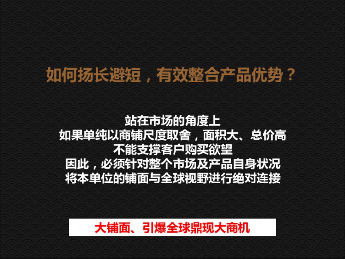 亳州康美中药城项目2019年推广策略案_第9页