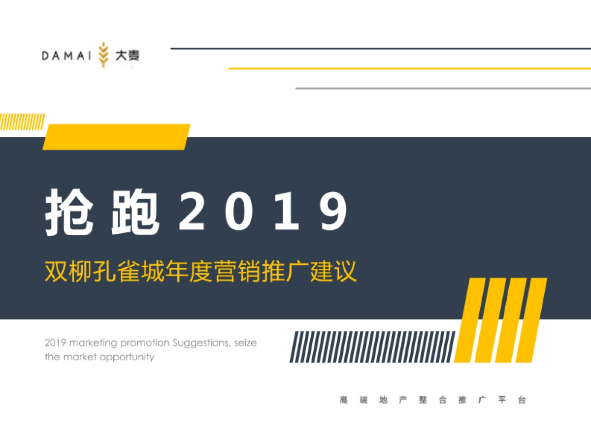 大麦传播-武汉孔雀城年度推广提报_第2页