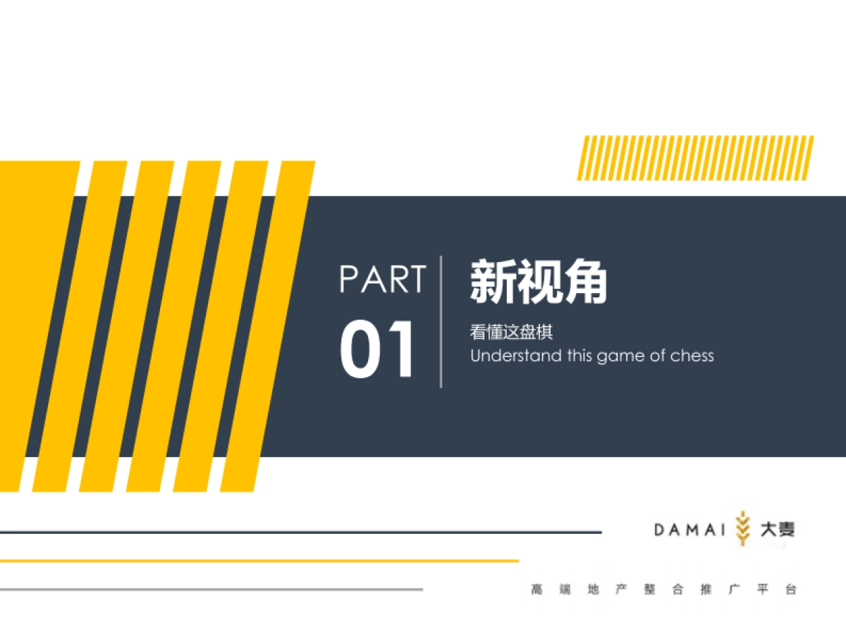 大麦传播-武汉孔雀城年度推广提报_第4页