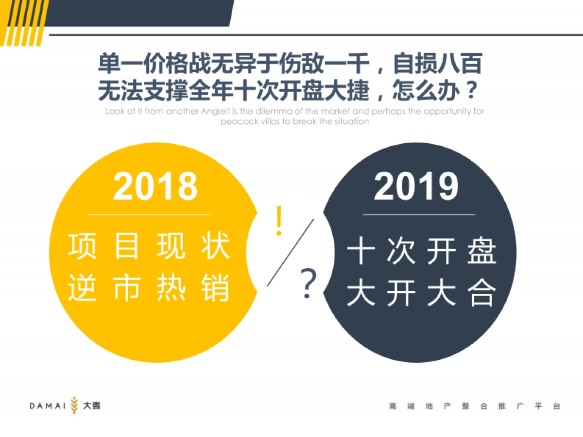 大麦传播-武汉孔雀城年度推广提报_第5页