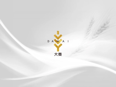 大麦传播-武汉孔雀城年度推广提报